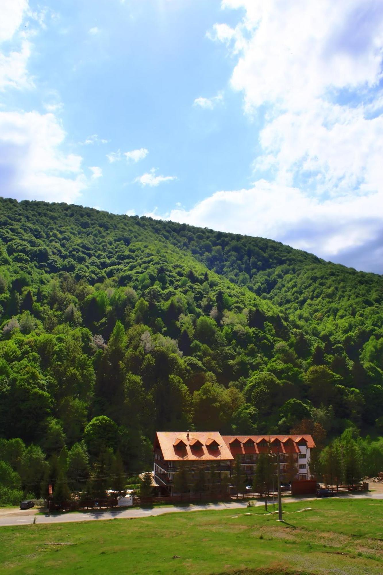 Pensiunea Mai Răşinari Exterior foto
