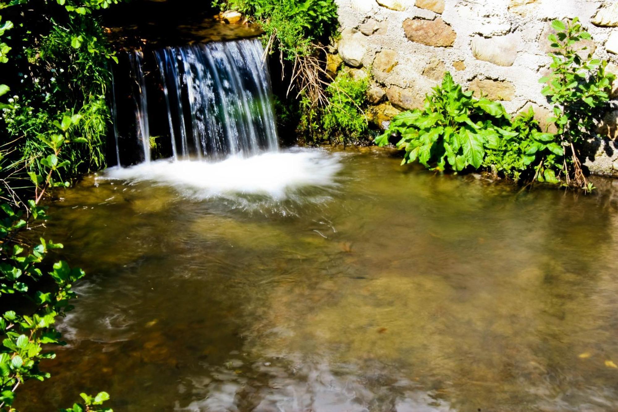 Pensiunea Mai Răşinari Exterior foto