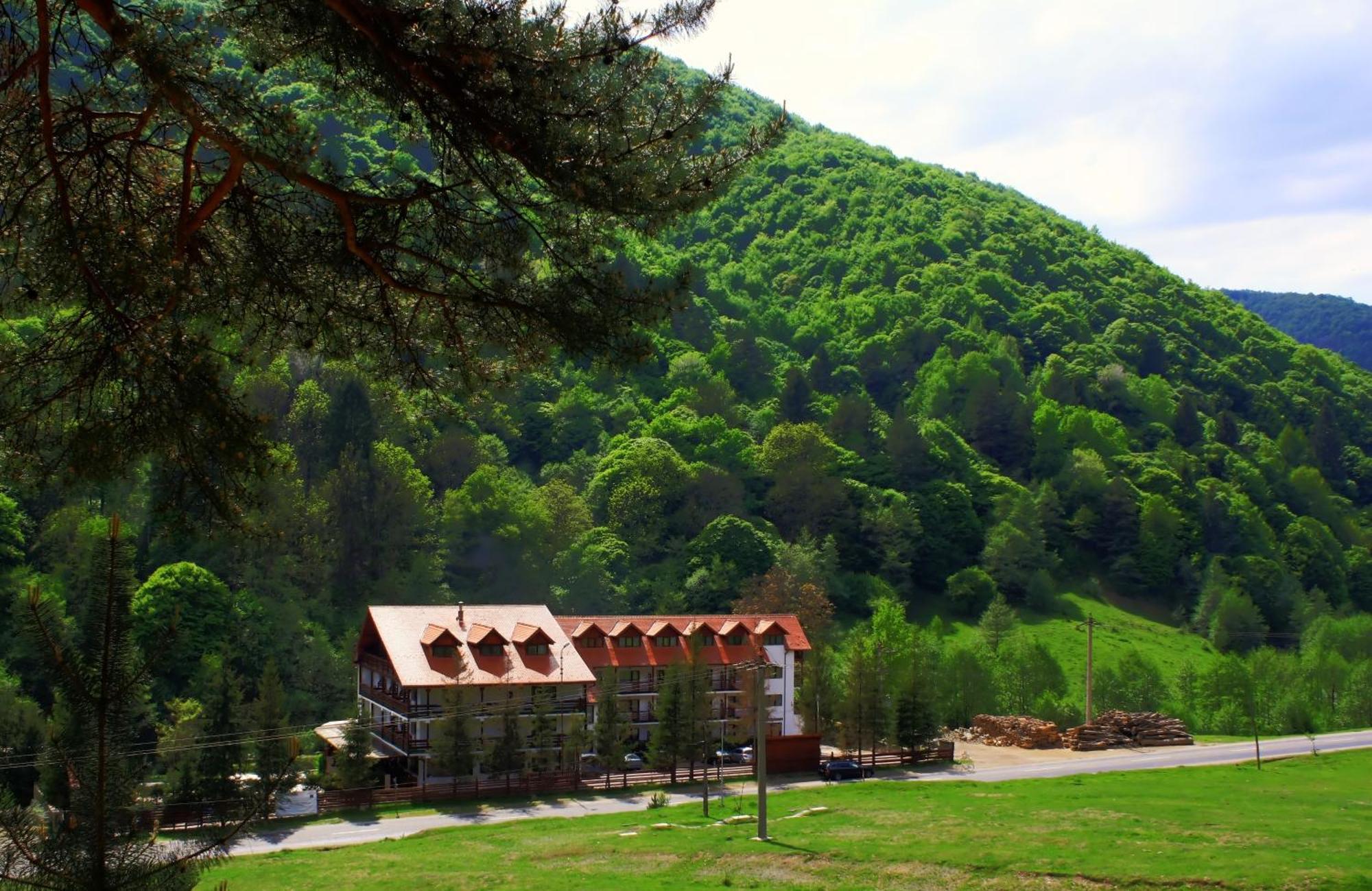 Pensiunea Mai Răşinari Exterior foto